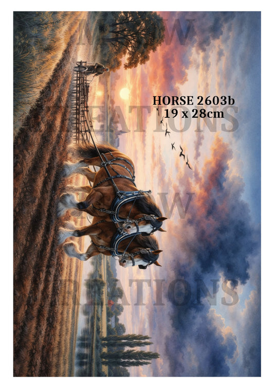 HORSE 2603b