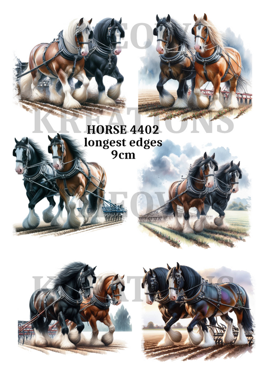 HORSE 4402