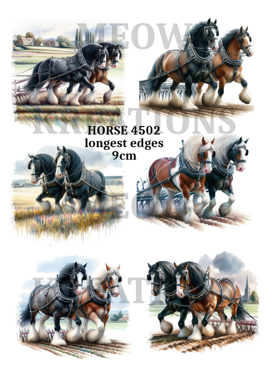 HORSE 4502