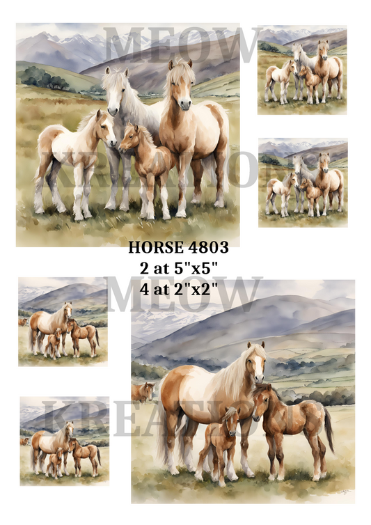 HORSE 4803