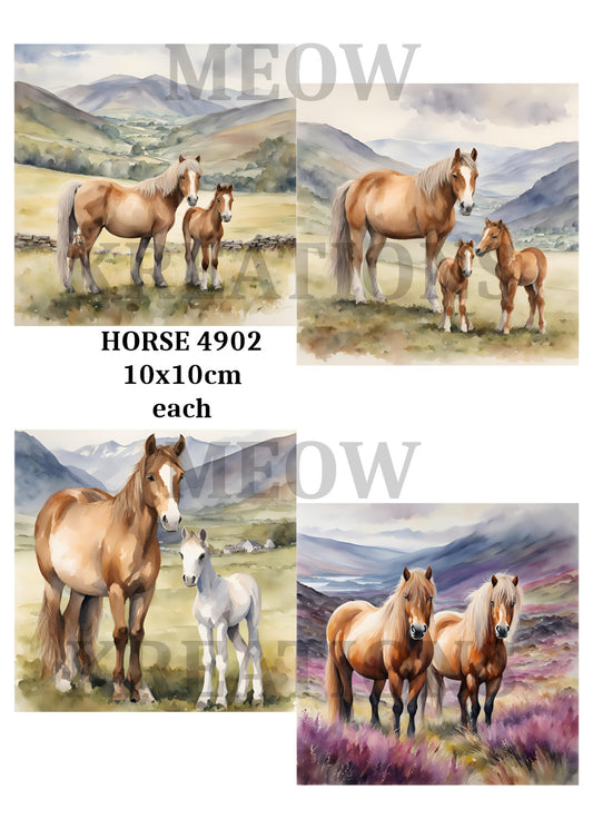 HORSE 4902