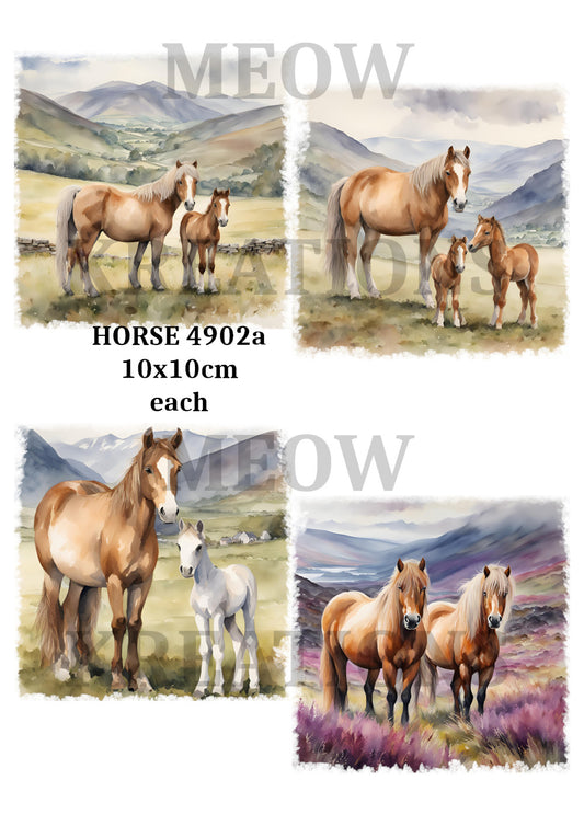 HORSE 4902a