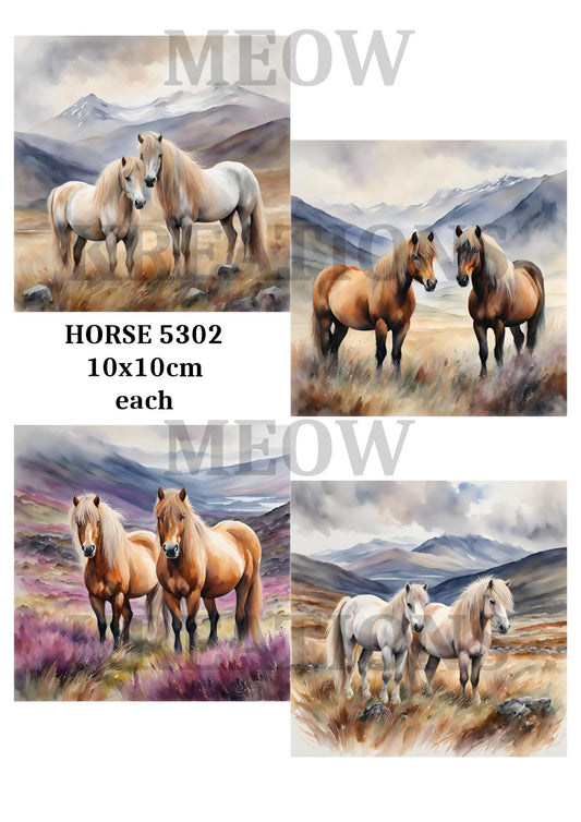 HORSE 5302