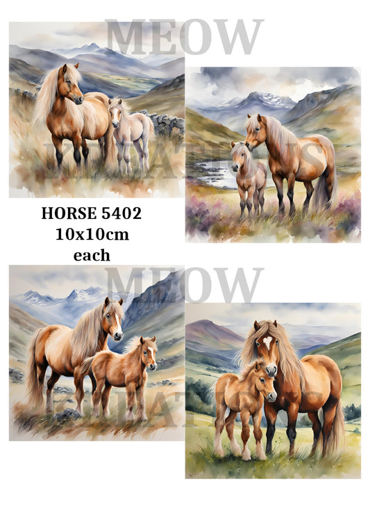 HORSE 5402