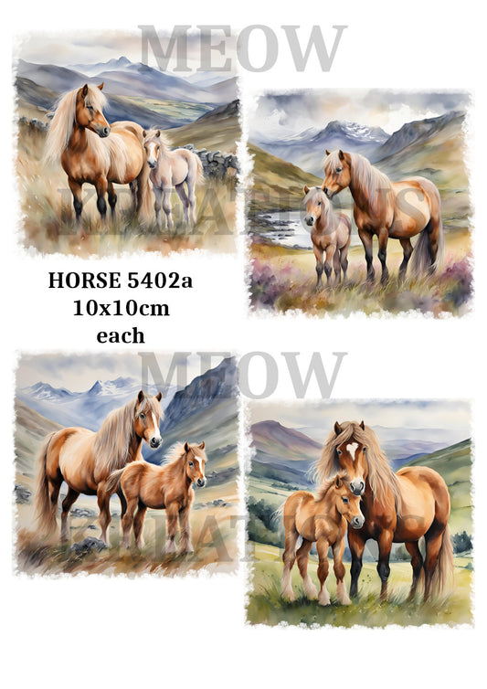 HORSE 5402a