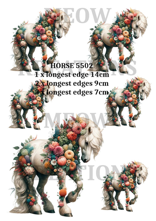 HORSE 5502