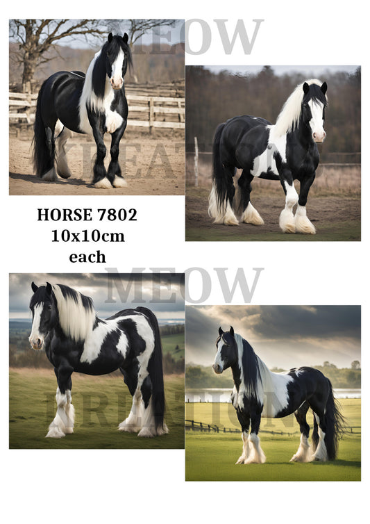 HORSE 7802