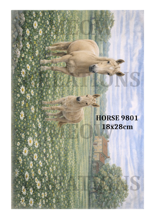 HORSE 9801