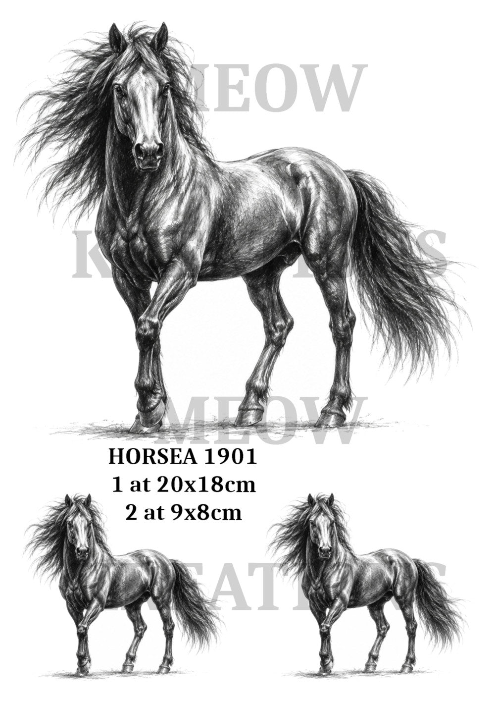 HORSEA 1901