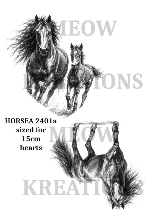 CABALLO 1101