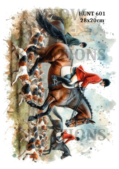 CABALLO 1101