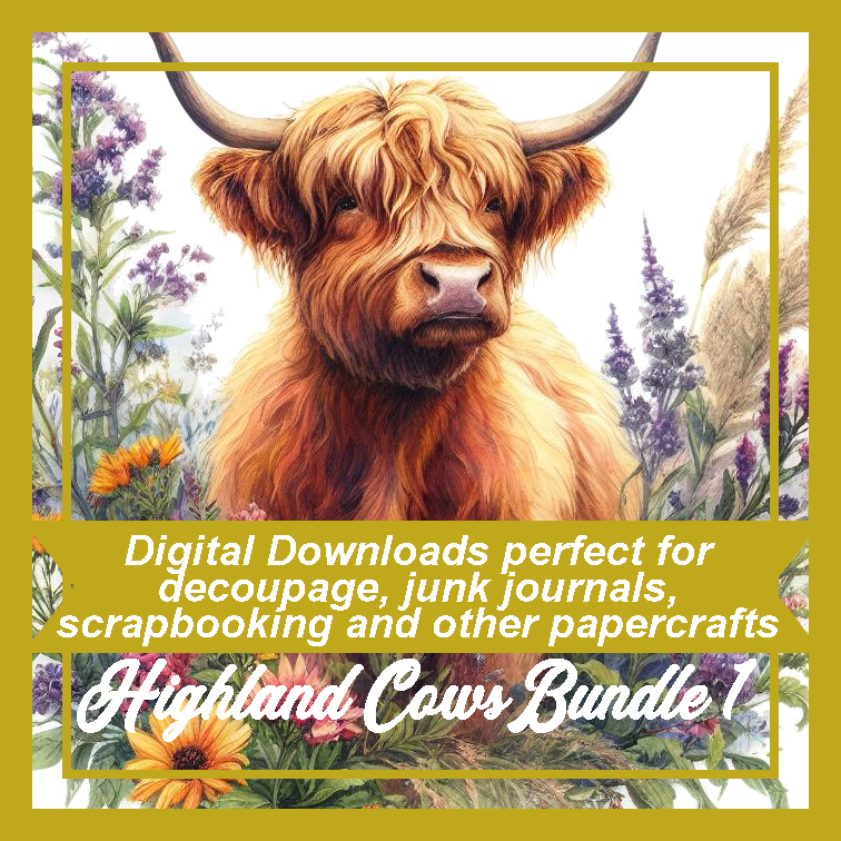 DD Highland Cows Bundle 1