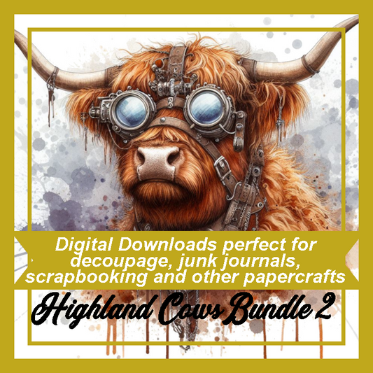 DD Highland Cows Bundle 2