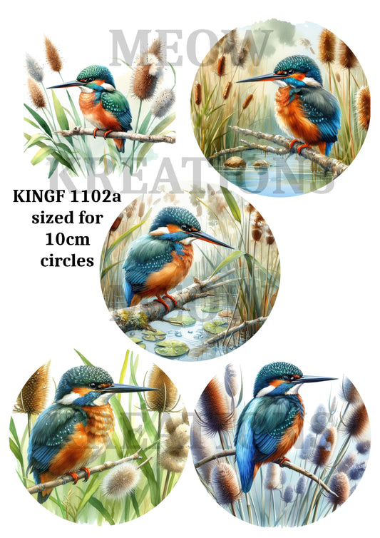 KINGF 1102a