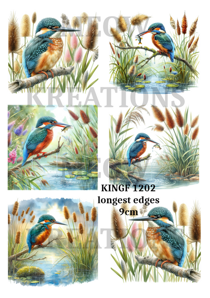 Decoupage Rice Paper - KINGF 1202
