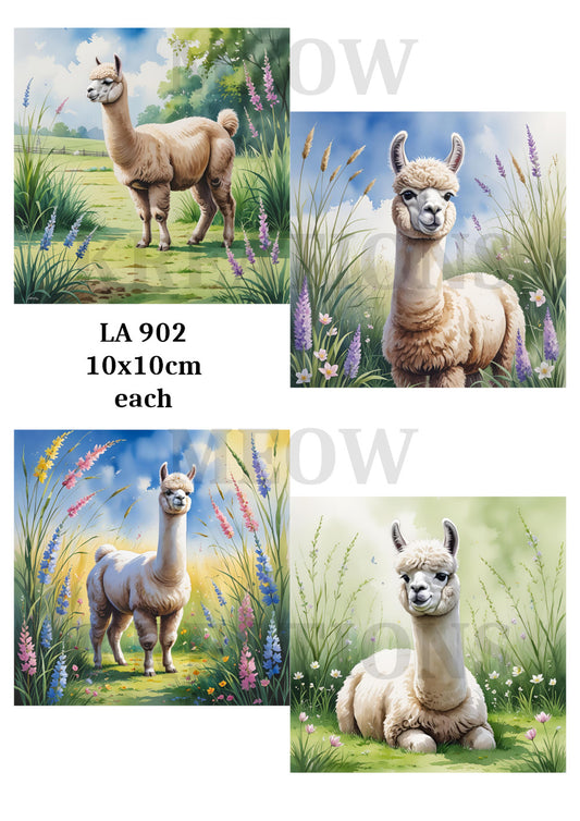 LA 902