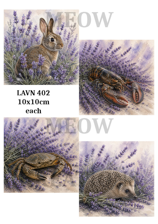 LAVN 402