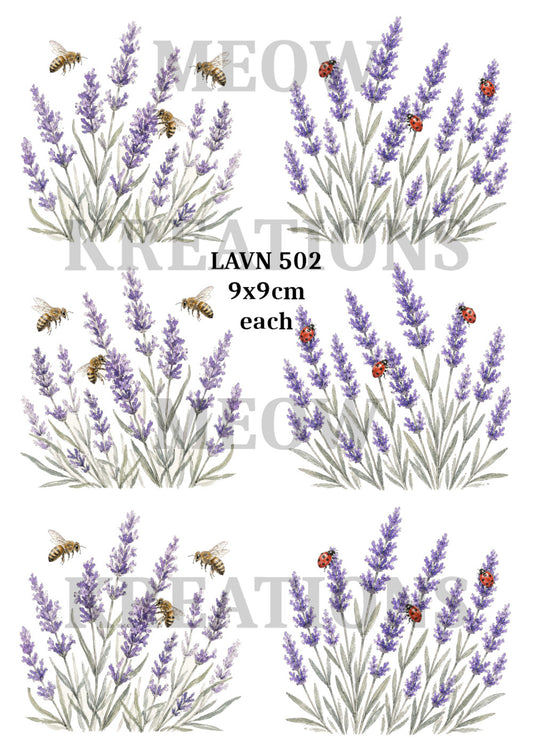 LAVN 502