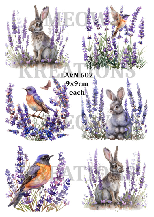 LAVN 602