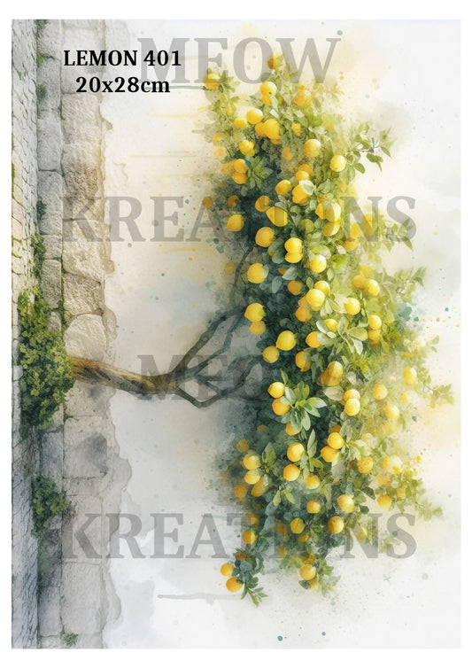 LEMON 401