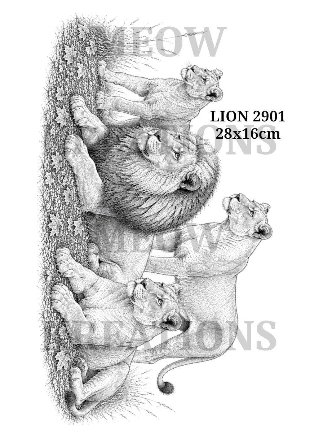 LION 2901