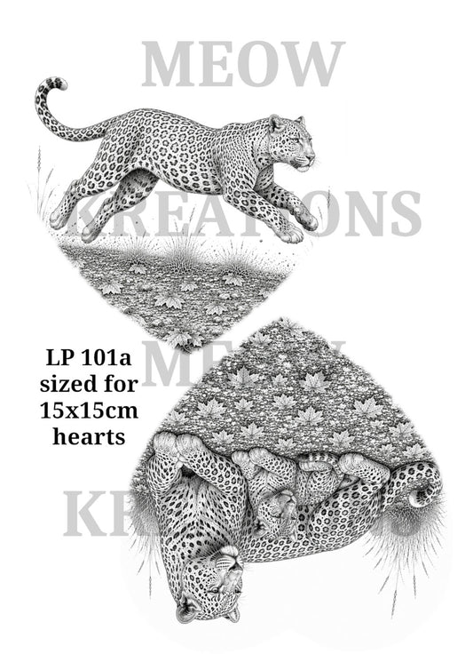 LP 101a