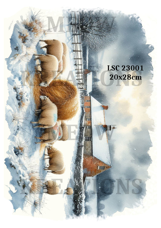 LSC 23001