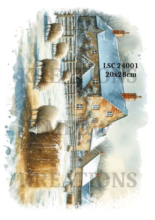 LSC 24001