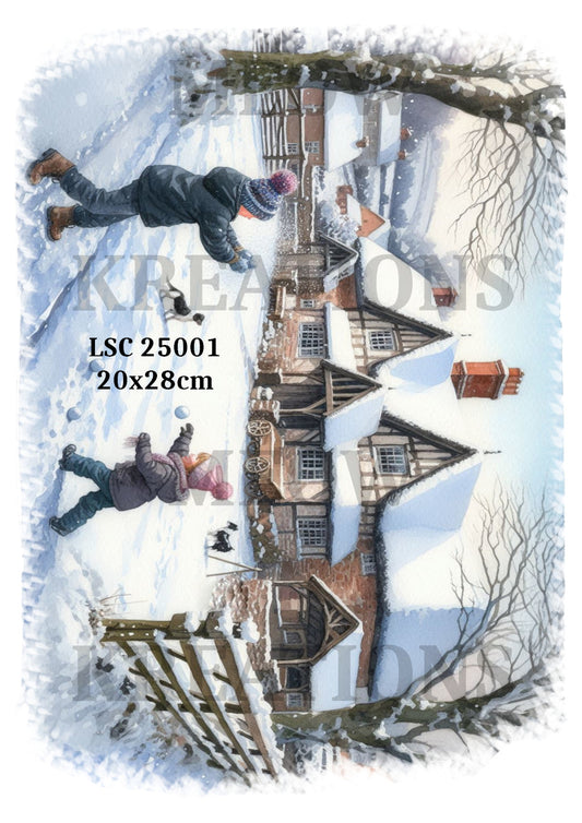 LSC6004