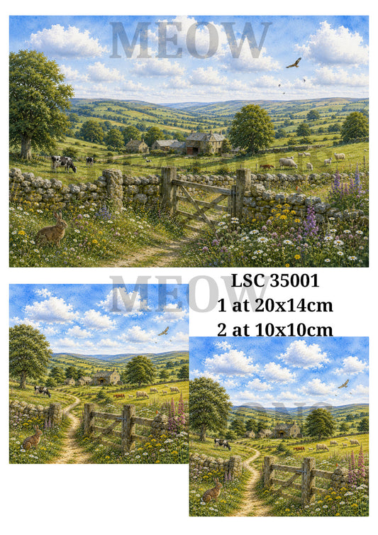 LSC 35001