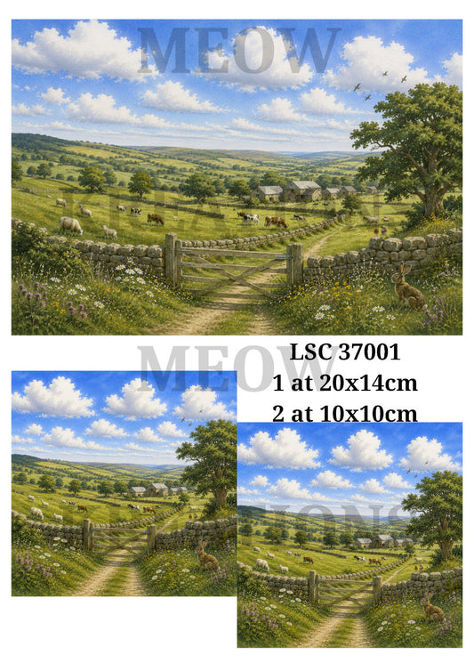 LSC 37001