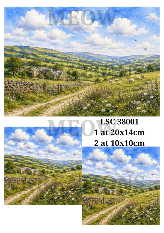 LSC 38001