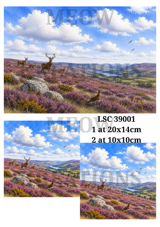 Decoupage Rice Paper - LSC 39001