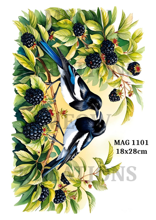 MAG 1101