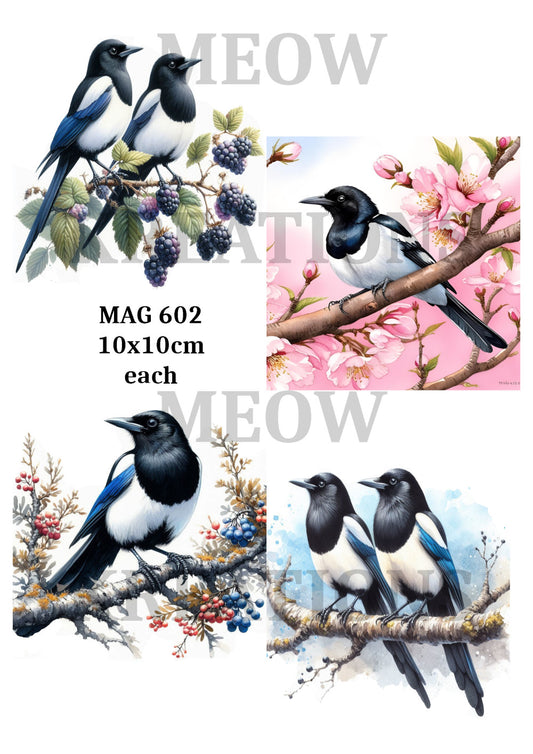 MAG 602
