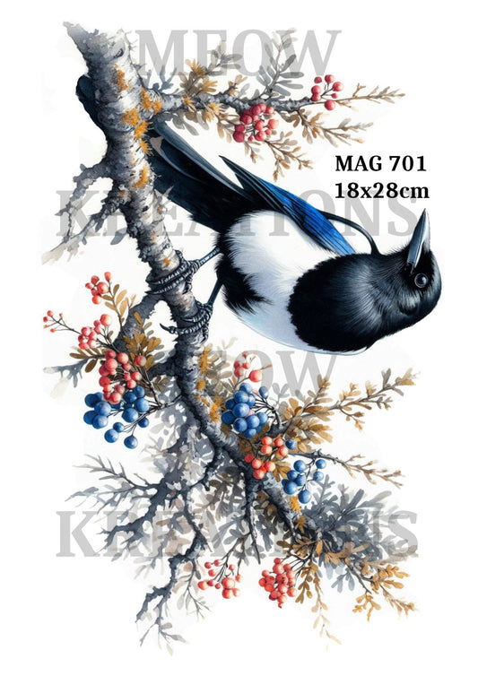 MAG 701