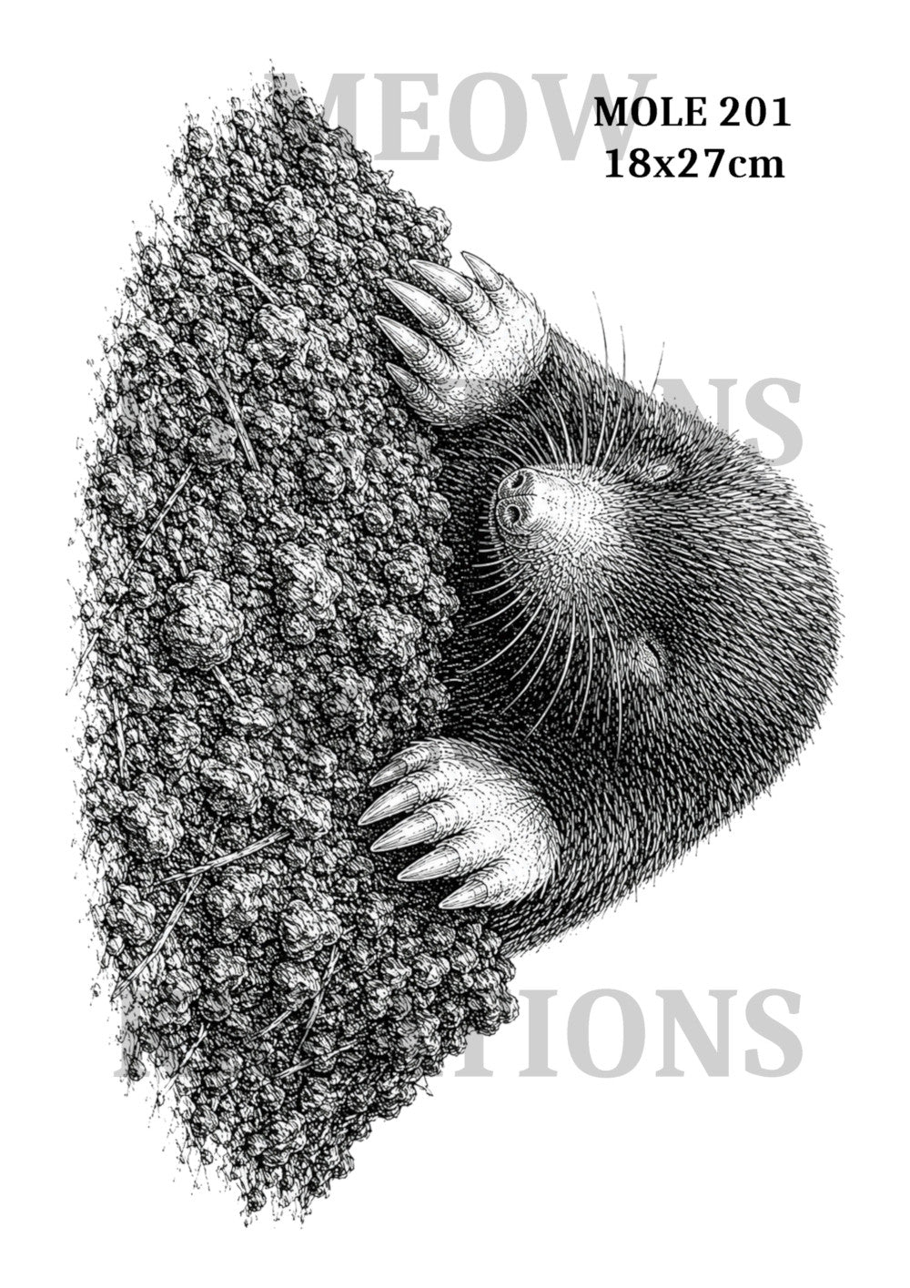 MOLE 201