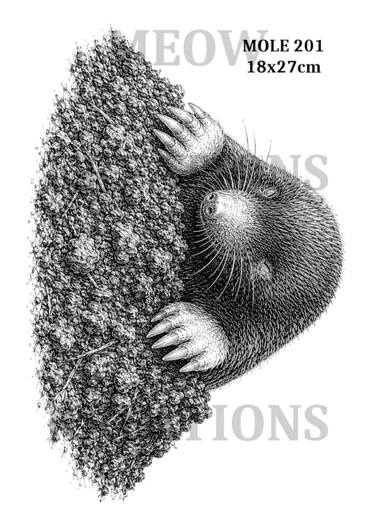 MOLE 201