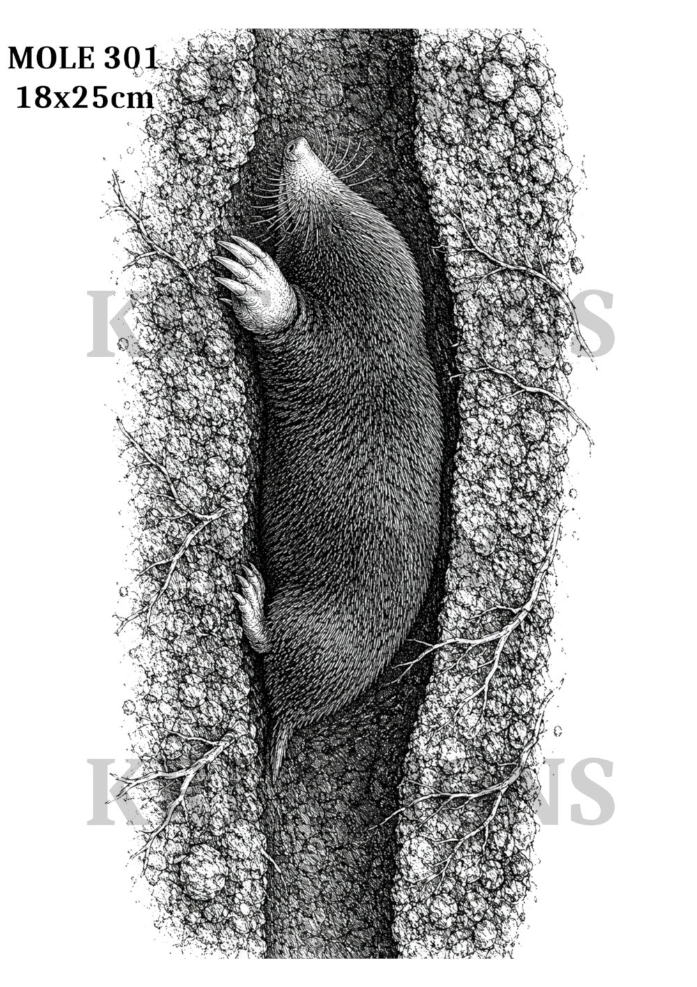 MOLE 301