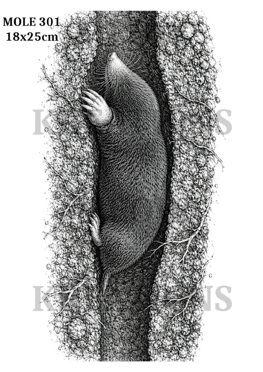 MOLE 301