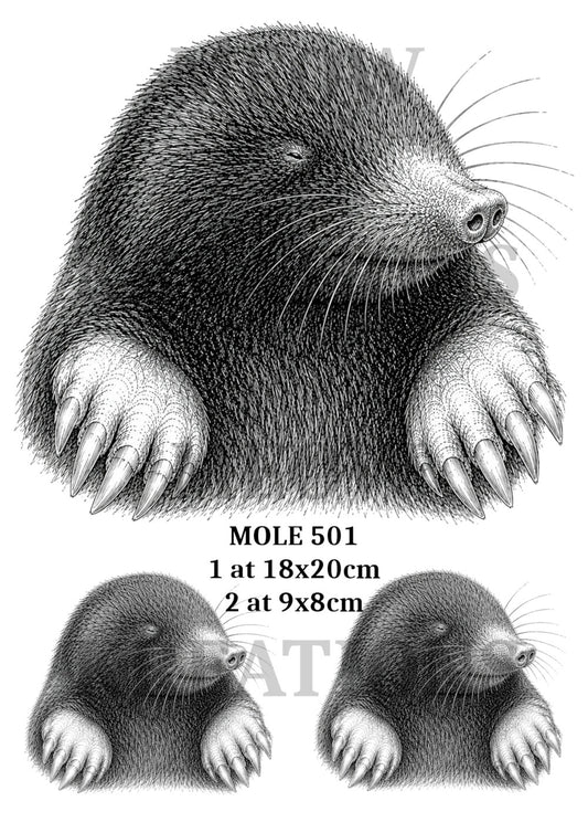 MOLE 501