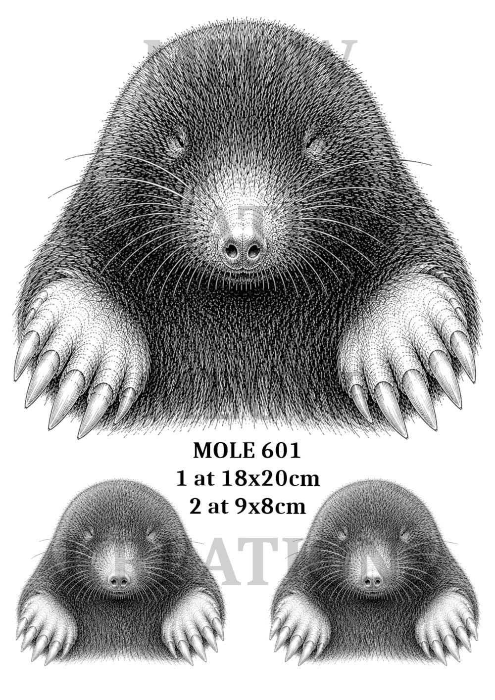 MOLE 601