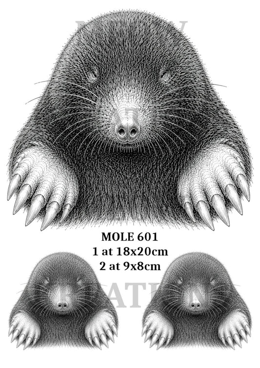 MOLE 601
