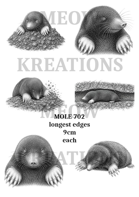 MOLE 702