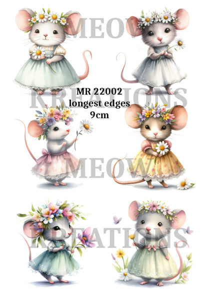 Decoupage Rice Paper - MR 22002