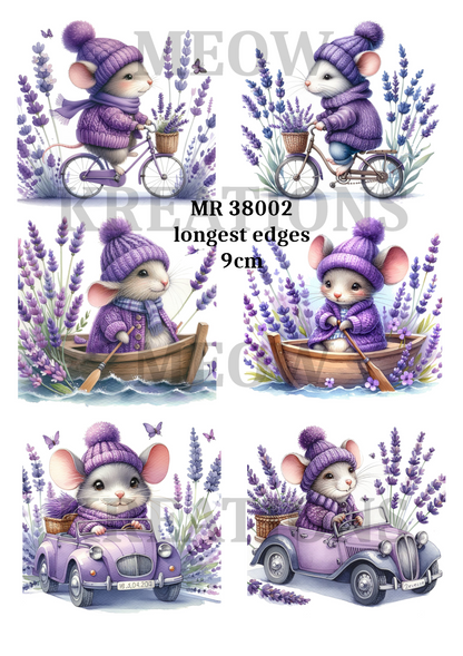 Decoupage Rice Paper - MR 38002
