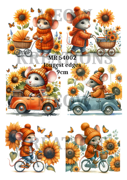 Decoupage Rice Paper - MR 54002