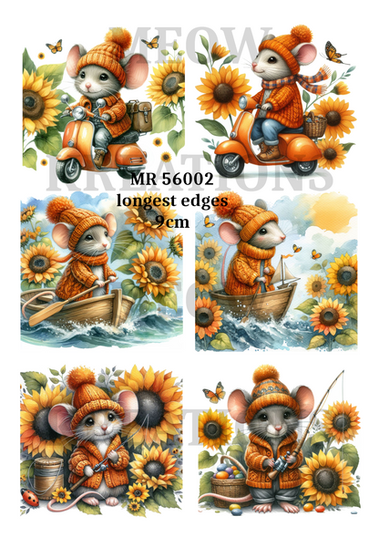 Decoupage Rice Paper - MR 56002
