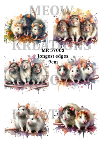 Decoupage Rice Paper - MR 57002