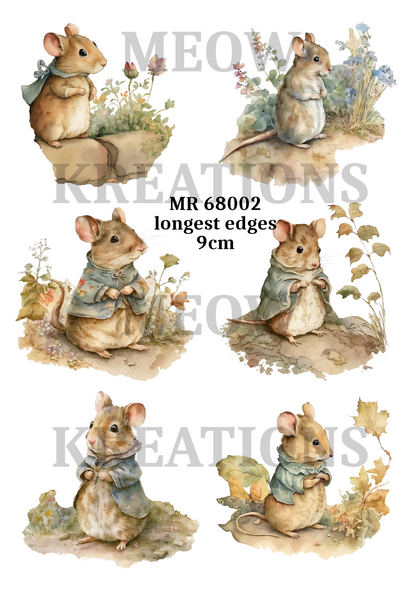 Decoupage Rice Paper - MR 68002